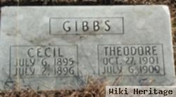 Theodore Gibbs