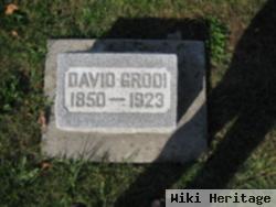 David Grodi