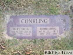 Homer Irving Conkling