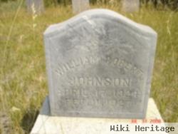 William Robert Johnson