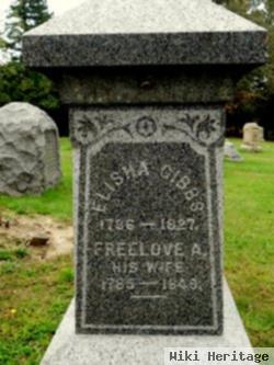 Freelove A. Anderson Gibbs