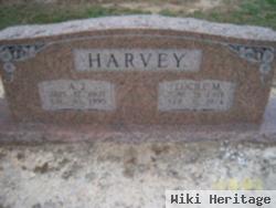 Lucile M Harvey