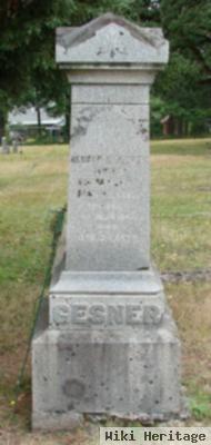 Reuben Alonzo Gesner