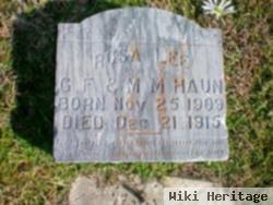 Rosa Lee Haun