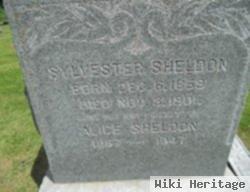 Sylvester Sheldon