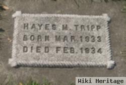 Hayes M Tripp