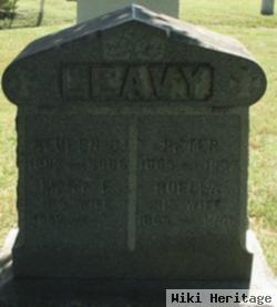 Mary E Leavy