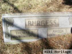 Amelia Susan Eichenberger Burgess