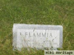 Francis M Flammia