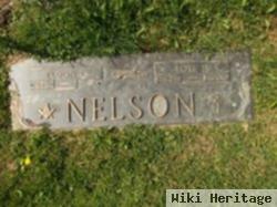 Lois H. Hegarty Nelson