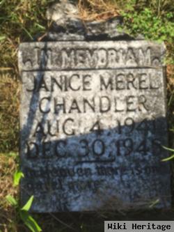 Janice Merel Chandler