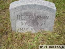 Hester Bean