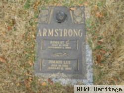 Robert C Armstrong