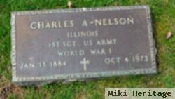 Charles A. Nelson