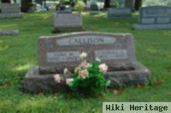 Anna M. Henkle Callison