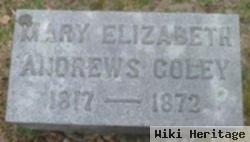Mary Elizabeth Andrews Coley
