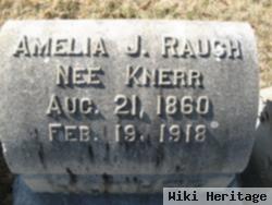 Amelia J Knerr Rauch