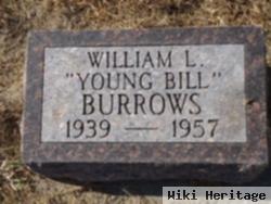 William Lorenzo "young Bill" Burrows