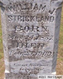 William J Strickland