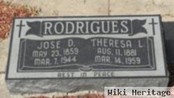 Theresa L Rodrigues