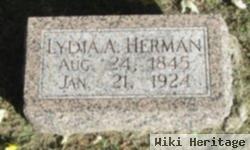 Lydia Ann Haynes Herman