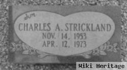 Charles A Strickland