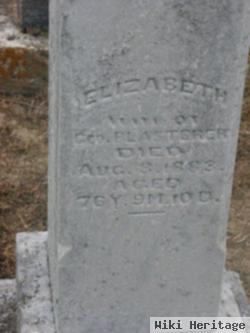 Elizabeth Gehr Snyder Plasterer