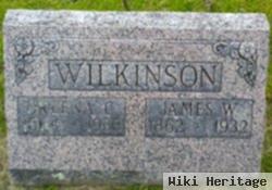 Orlena Catherine "kate" Carriger Wilkinson