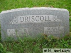 Sonia R Driscoll