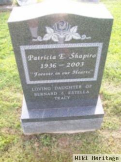 Patricia E. Shapiro