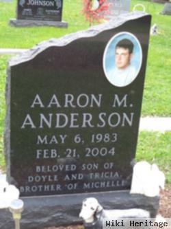 Aaron M Anderson