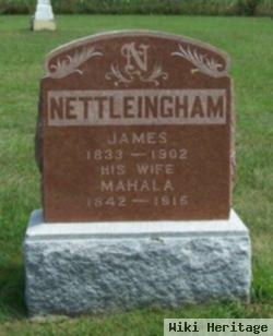 James Nettleingham