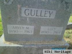 Lucy Hunt Gulley