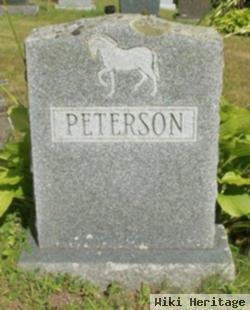 Andrew G Peterson, Sr