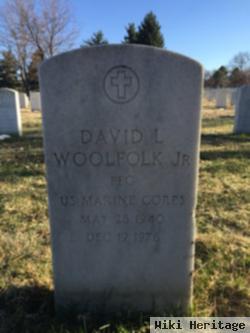 David L Woolfolk