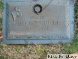 Terry Walter Elliott