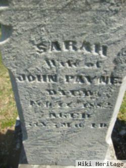 Sarah Wilson Payne