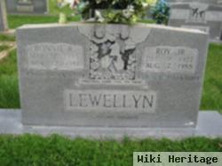 Roy Elbert Lewellyn, Jr