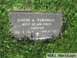 David A. Turnbull