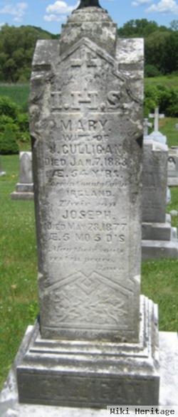 Mary Culligan