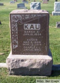 Charles Louis "charley" Kau, Sr