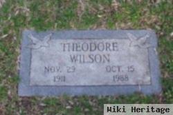 Theodore Wilson