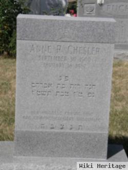 Anne R Chesler