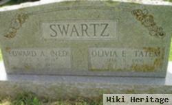 Edward "ned" Swartz