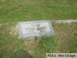 Amelia Webb Walker