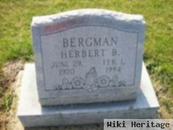 Herbert B. Bergman