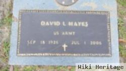 David L Hayes