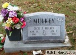 Cecil J Mulkey