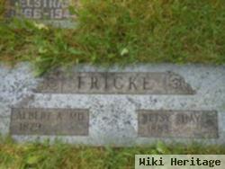 Dr Albert A. Fricke