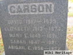 Elizabeth Sonair Mckinney Carson